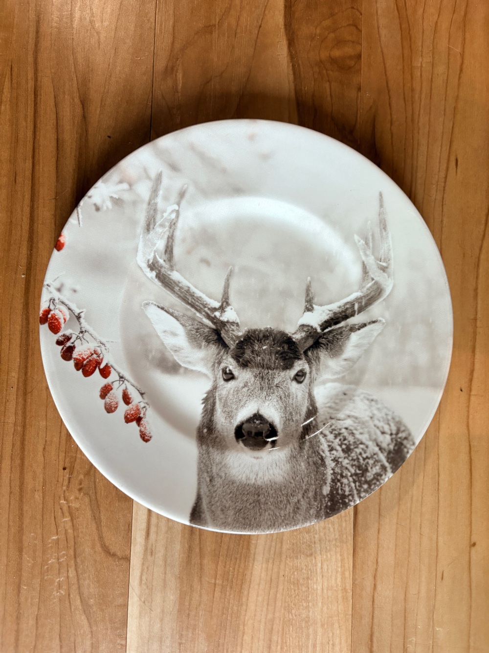 Pier 1 Winter Forest Buck Accent Dinner Plate